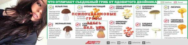 шишки Алексин
