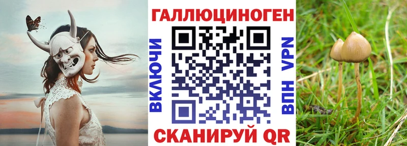 blacksprut маркетплейс  Коркино  Псилоцибиновые грибы MAGIC MUSHROOMS 